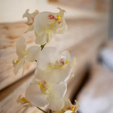 Aparthotel Del Sol Corfu Sidárion